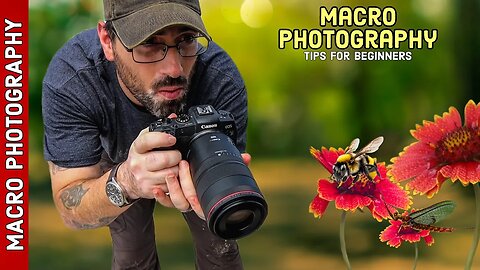 MACRO PHOTOGRAPHY HACKS and TIPS for Stunning Images with the CANON 100mm F2.8