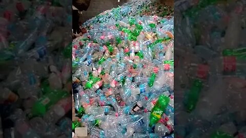 Pet Bottle Scrap