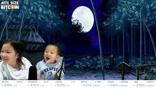 BITCOIN at $3430! - Double Doge - August 9, 2017 - LIVESTREAM!