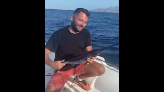 What a catch: Florida anglers reel in 5-pound swordfish-pumpkin swordfish