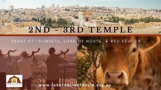 LORD OF HOSTS, REBUILDING 3rd TEMPLE & RED HEIFER