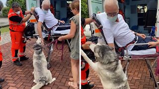 Ecstatic Pup Reunited With Owner After 3 Weeks Apart