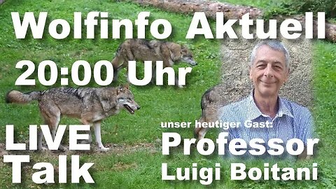 Wolfinfo Aktuell LIVE TALK 8 ( Professor Luigi Boitani )