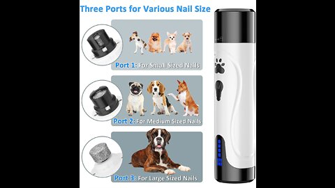 To know how to cut the dogs nail with digital grinder