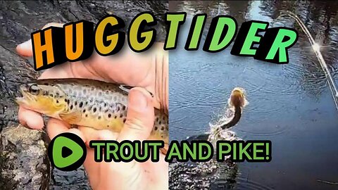 Trout and pike fishing in secret stream in northern Sweden w/ English subtitles