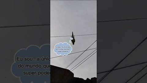 A Maritaca virou Homen -Aranha