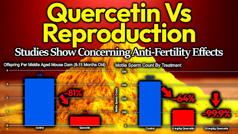 Quercetin Vs Reproduction: 99.9% Fewer Moving Sperm, 81% Reduction In Pups For Middle Aged Mice