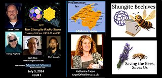 HOUR 1 - SHUNGITE REALITY 7-9-24 - Katharine Tacon on Shungite Beehives