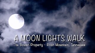 Moonlight Walk on the Bowen Property