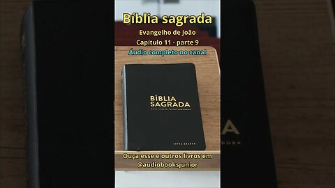 Bíblia Sagrada - Evangelho de João - Capítulo 11 - parte 9