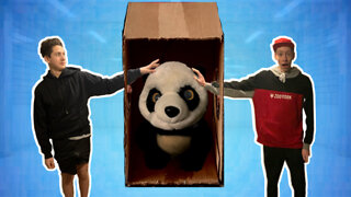 What’s In The BOX Challenge!!! *LIVE ANIMALS* Panda, Cat, Slime, Poop, Hex Bug's and More!