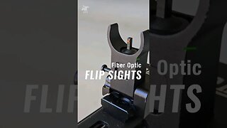 Feyachi S27 flip up sights #pewpew #feyachi