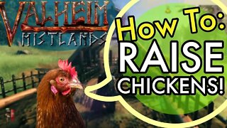 Valheim How to Raise Chickens