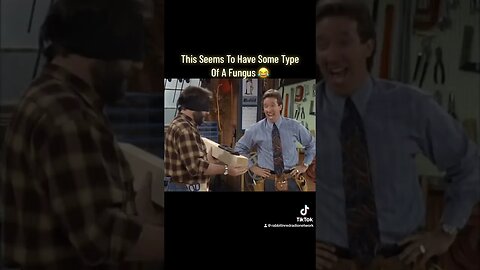 Al Borland Name That Wood Home Improvement Clip Tim Allen Comedy Classic TV