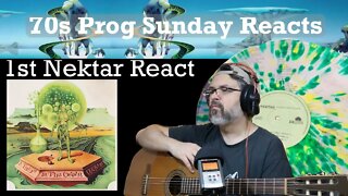 First React | Nektar | German Prog | Desolation Valley/Waves