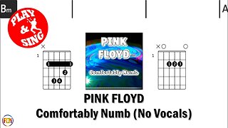 PINK FLOYD Comfortably numb FCN GUITAR CHORDS & LYRICS NO VOCALS