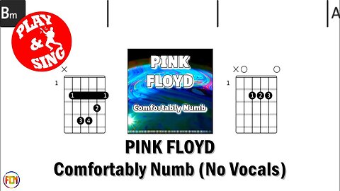 PINK FLOYD Comfortably numb FCN GUITAR CHORDS & LYRICS NO VOCALS