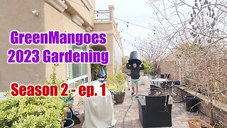 Cleaning and repotting 1st day gardening of 2023: Season 2 - Episode 1 #viral #gardening #video