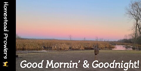 Party Animals Enjoy Pre-Dawn Before Saying Goodnight