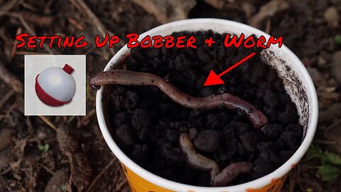 Trout Fishing Worms | How To Set Up Bobber & Worm For Trout Fishing Lakes Or Ponds