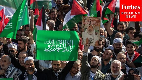 Protestors Gather In Istanbul, Turkey To Express Their Support For Hamas and Palestine