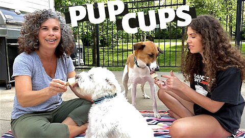 PUP CUPS (HOMEMADE ICE CREAM FOR DOGS) ~ FROZEN DOG TREATS FOR SUMMER