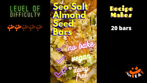 Sea Salt Almond Seed Bars (No Bake, Vegan, Dairy Free)