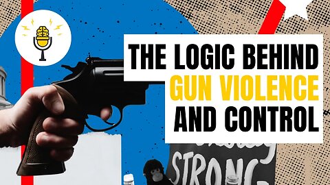 The Logic Behind Gun Violence and Control