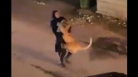 Arab Lady carries escaped pet lion (shocking video)