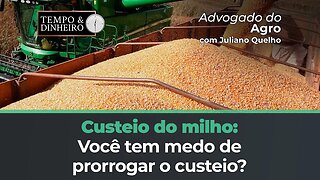 Custeio do milho: você tem medo de prorrogar o custeio? Advogado do Agro tem novidades de MG