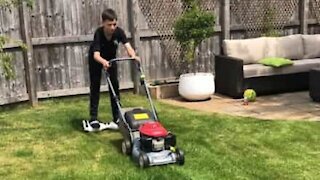 Boy proves mowing the lawn can be fun