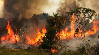 Rainforest Fires Fill Brazil's Skies With Smoke, Fanning Climate Fears