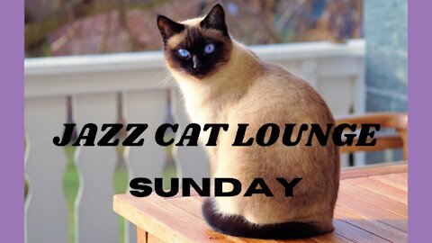 Easy listening jazz at JAZZ CAT LOUNGE SUNDAY
