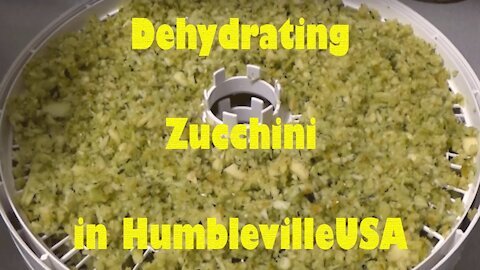 DEHYDRATION: Dehydrating Zucchini in Dehydrator and Food Saver VacuSealer in Humbleville
