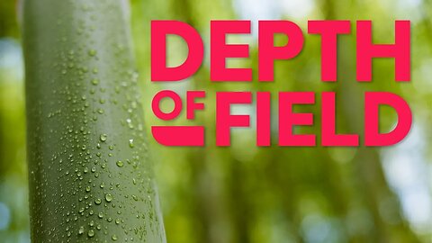 What is Depth of Field (and 3 ways to change it)