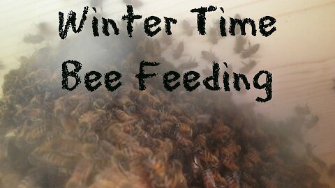 How to make sugar cakes for winter bee feeding