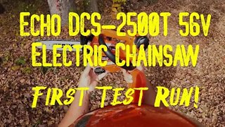 Echo DCS-2500T 56v Electric Chainsaw First Test Run
