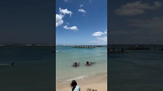 Ala Moana Beach Park Honolulu Hawaii 🤙