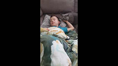 Sweet Kitty Wakes Up Little Boy For Playtime