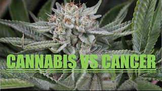 ICYMI- Cannabis vs Cancer