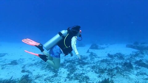 Cozumel Dive 10 Punta Dalila