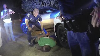 New Video From Deadly Louisiana Police Encounter