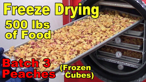 Freeze Drying Your First 500 lbs of Food - Batch 3 - Peaches