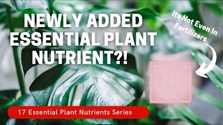 The NEWEST Recognized Essential Plant Nutrient. It’s Not Even In Fertilizer! Plantmas Ep 10
