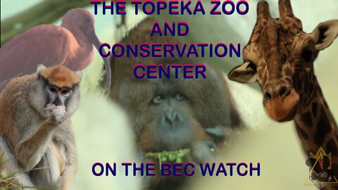 BEC Watch Entries: #13 Topeka Zoo and Conservation Center