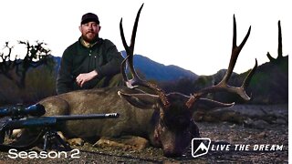 Mule Deer Hunting Sonora Mexico