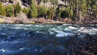 REVIEWING EACH CAMPSITE @ Monty Campground! | Metolius River | Lake Billy Chinook Central Oregon 4K