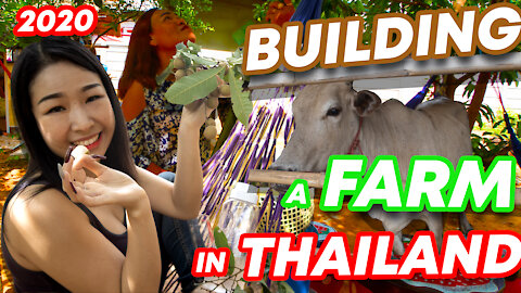 What's it like to Build a Farm in Thailand? Thai Rural Life in 2020