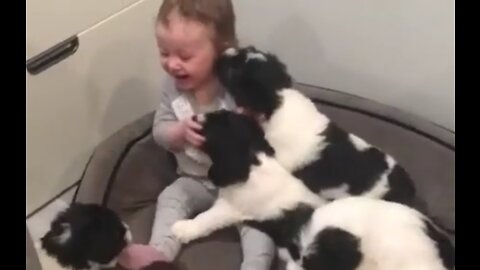 Lovely friendship between baby and puppies, funny friendship,