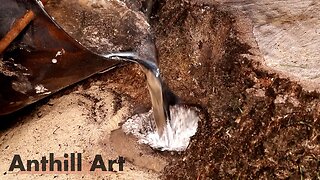 Craziest Cast Yet! – Casting an Ant Colony in a Stump with Molten Aluminum (Cast #121)
